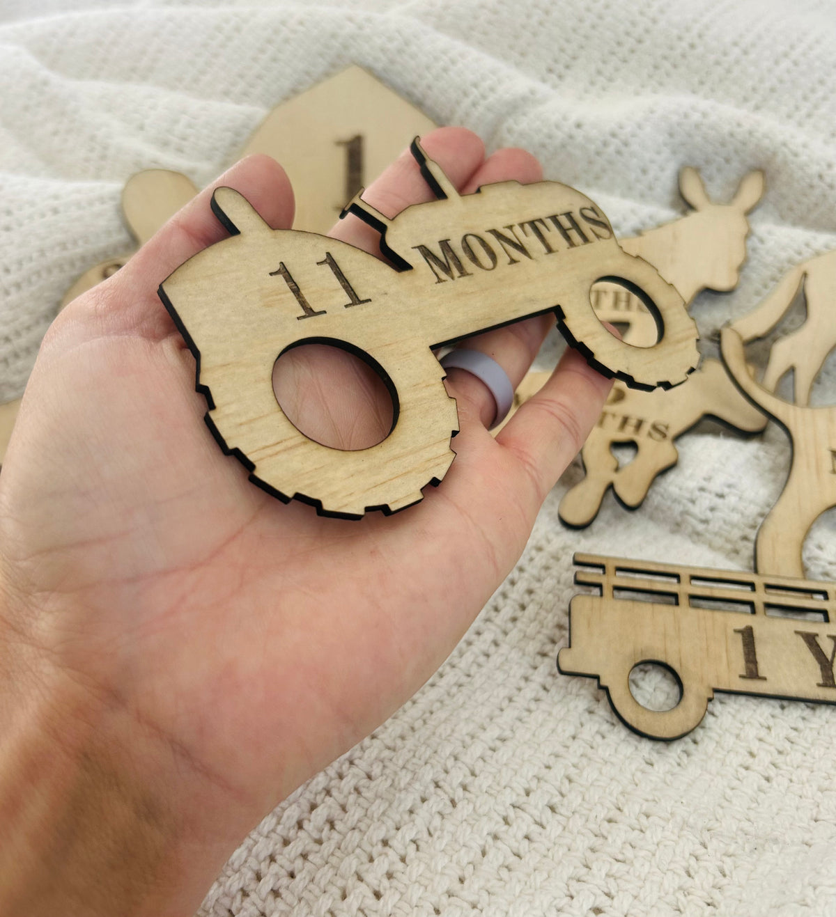 Farm Animal Baby Milestone Props