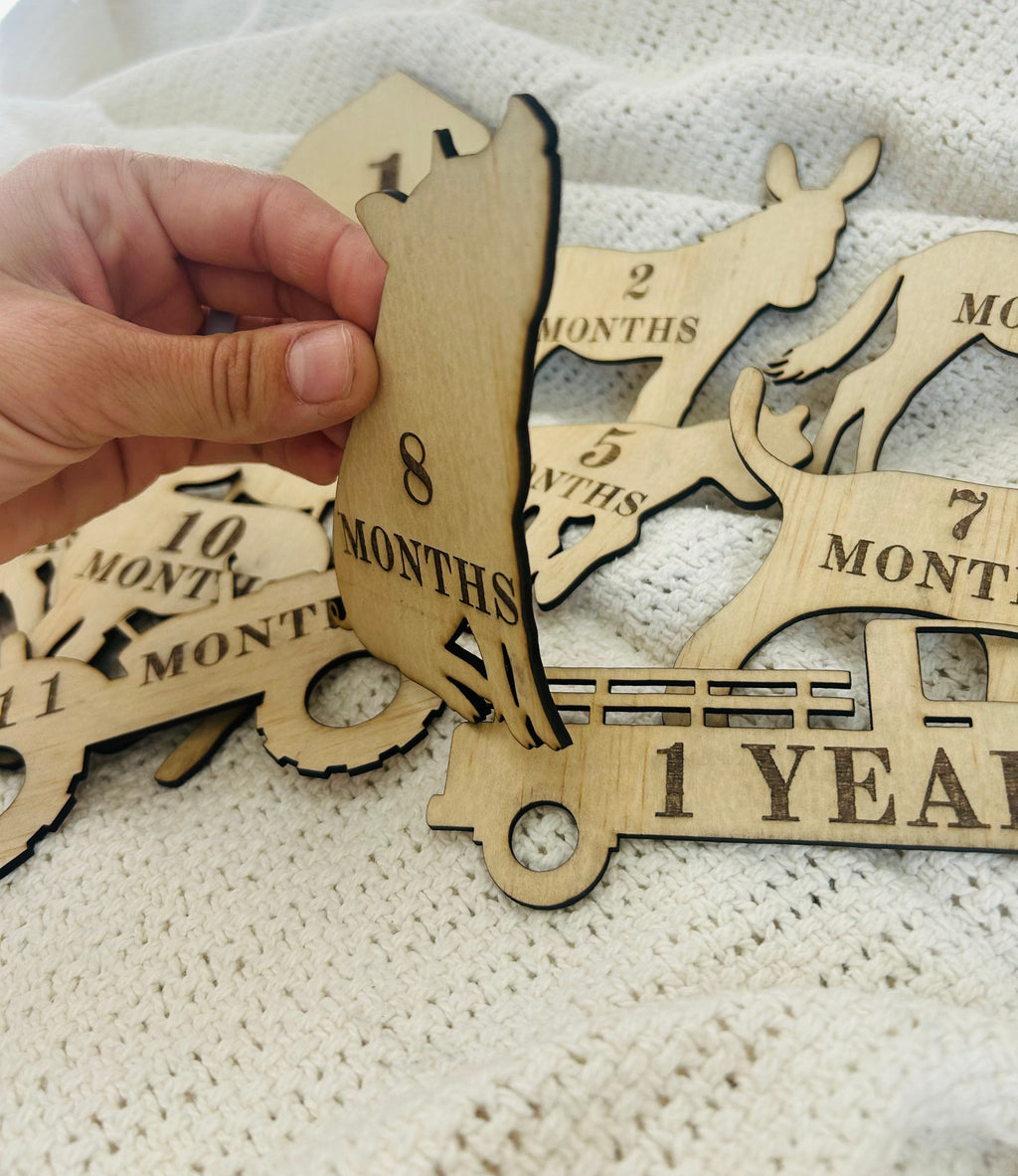Farm Animal Baby Milestone Props