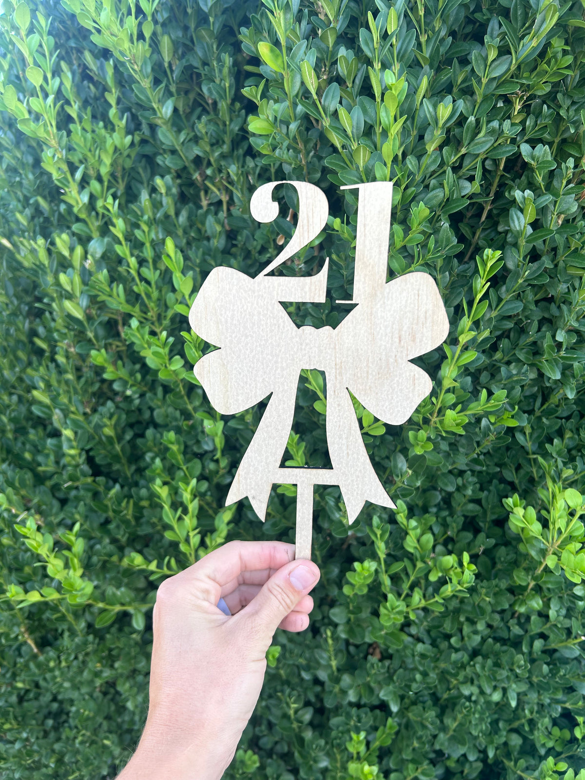 Bow Cake Topper