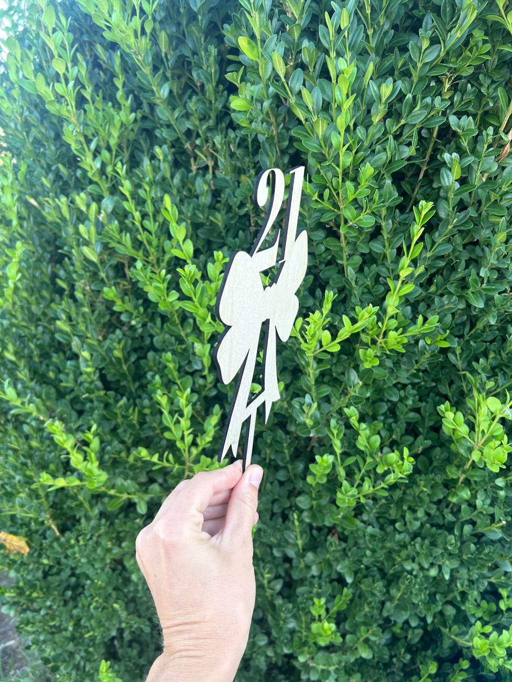 Bow Cake Topper