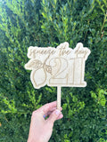 Squeeze the Day Birthday Cake Topper