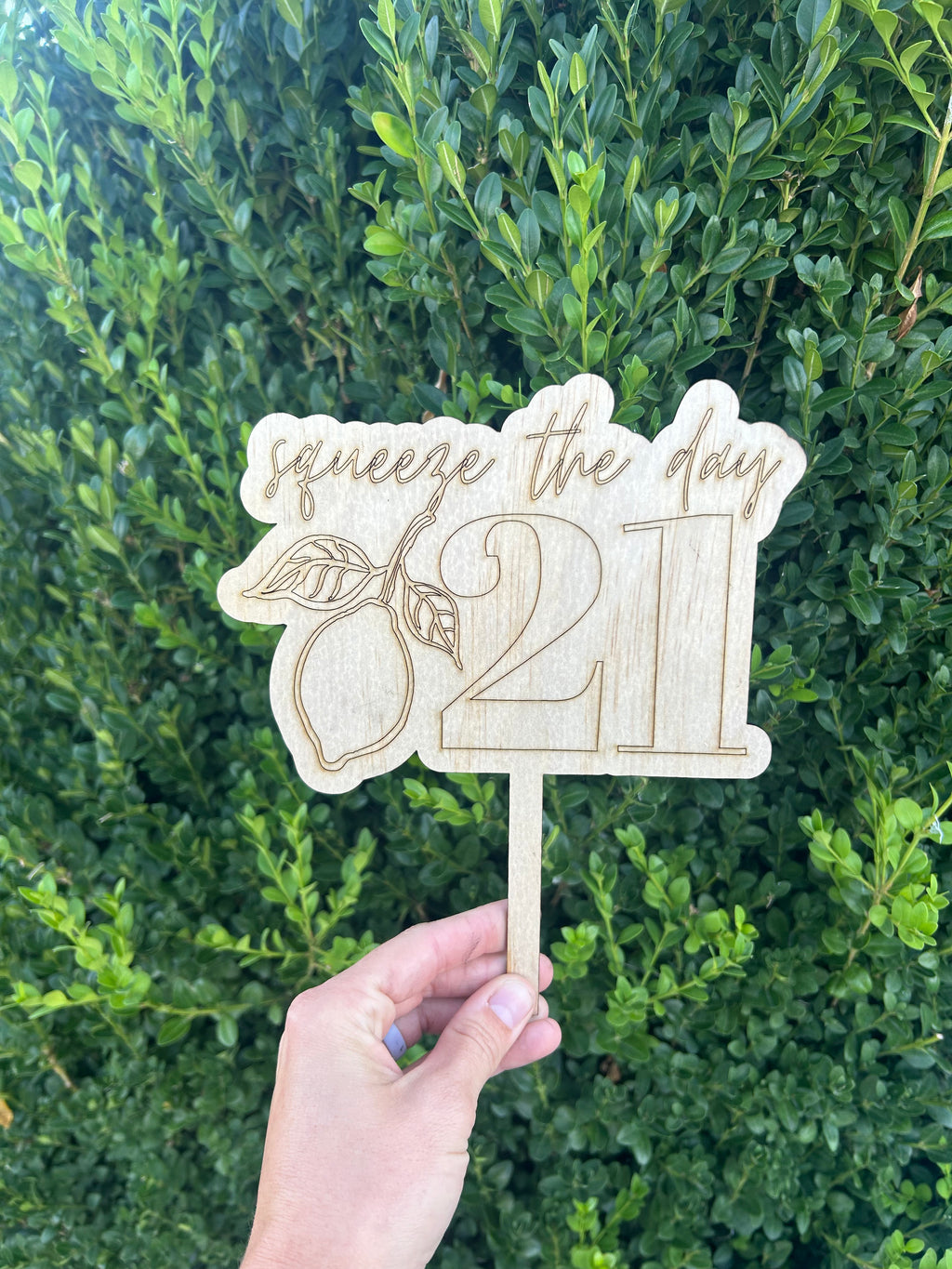 Squeeze the Day Birthday Cake Topper