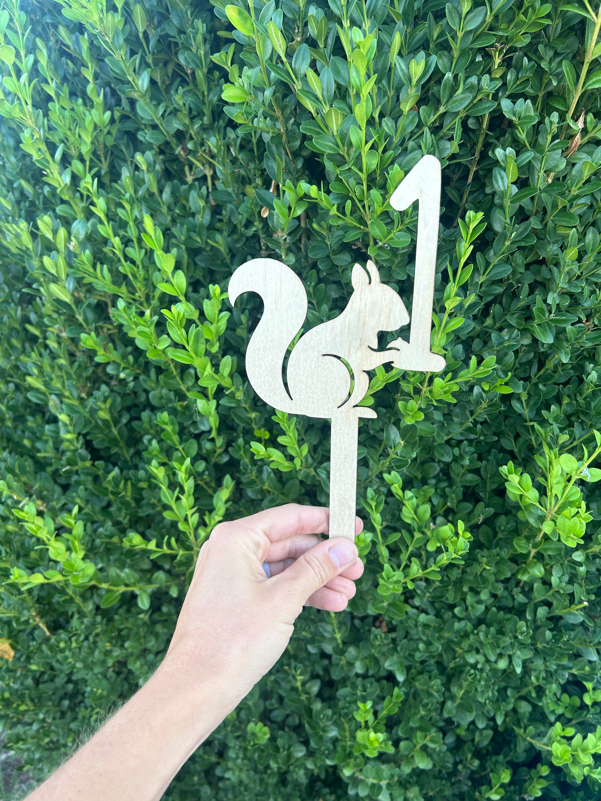 Woodland Squirrel Cake Topper