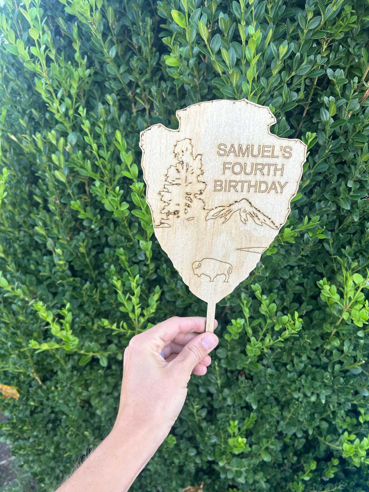 National Park Sign Cake Topper
