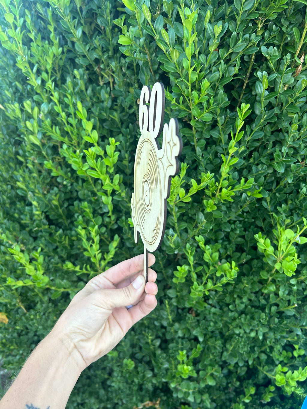 Record Cake Topper